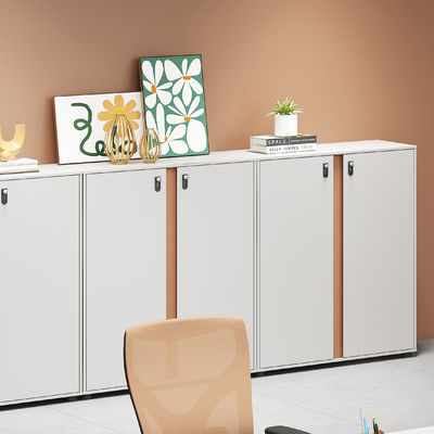 Büromöbel Stahl Schrank Schrank Index Karte Vorhängeschloss Schrank für Schreibtisch